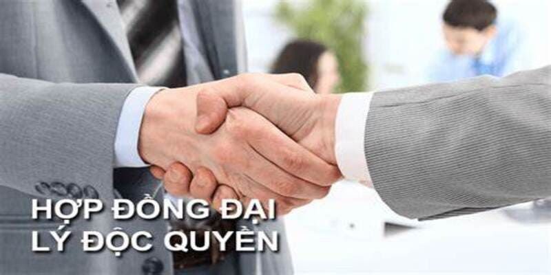 Thực hiện các chiến dịch thu hút người chơi