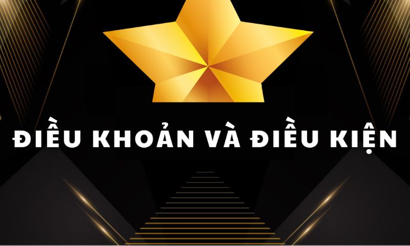 Mục tiêu của điều kiện, điều khoản là gì?