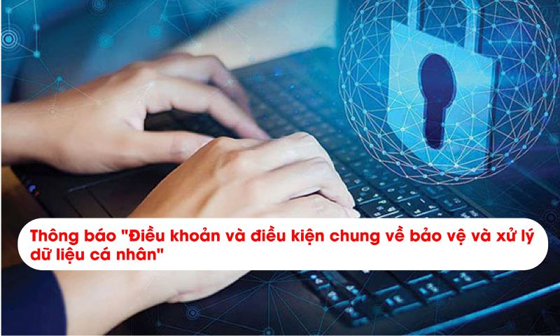 Quy định về thông tin mà người dùng cung cấp